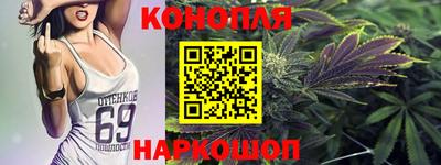 прущие грибы Ставрополь