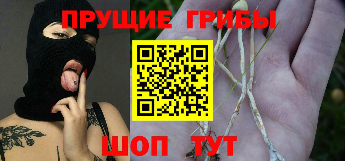 Alpha-PVP Нижнекамск
