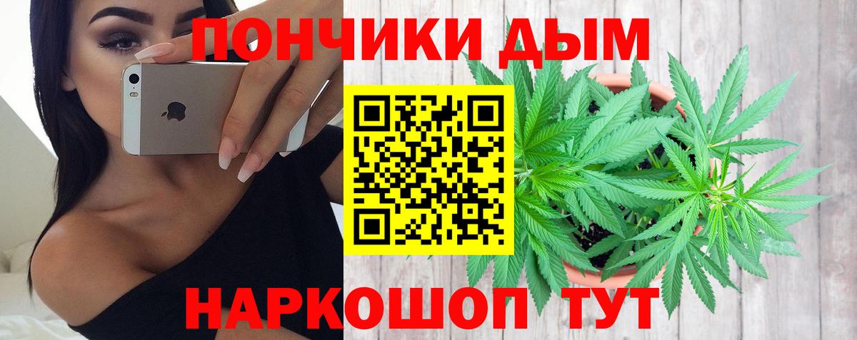 Шишки марихуана марихуана Нижнекамск